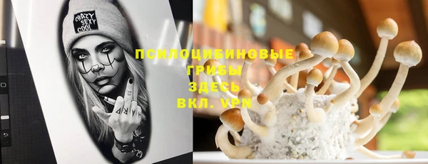 мескалин Медвежьегорск