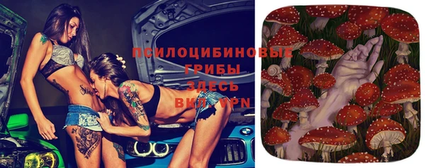 мескалин Медвежьегорск