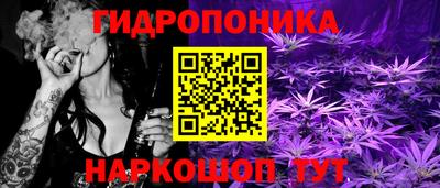 молекула духа Ливны