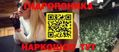 молекула духа Ливны