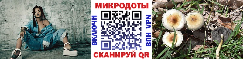 мега вход Феодосия Псилоцибиновые грибы Cubensis цены наркотик