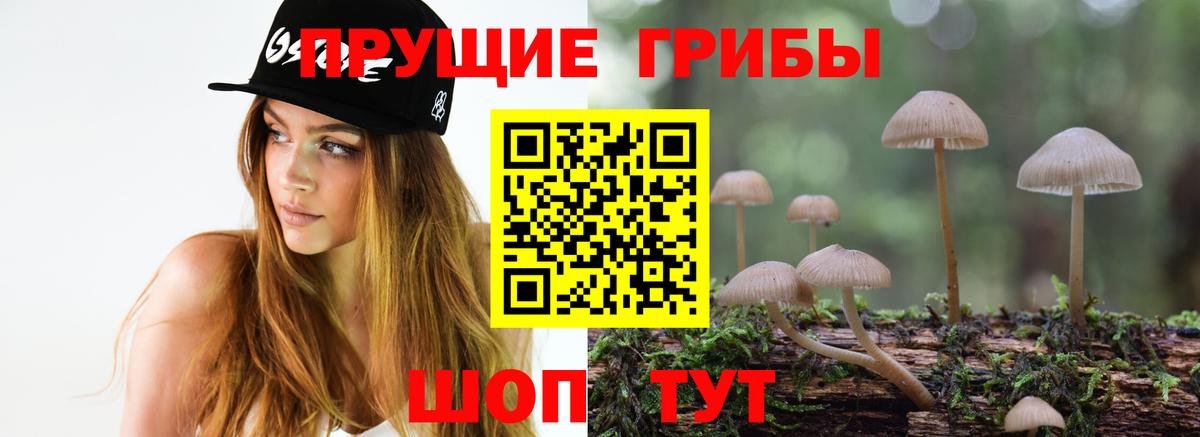 Псилоцибиновые грибы GOLDEN TEACHER  Вход с VPN  Феодосия 